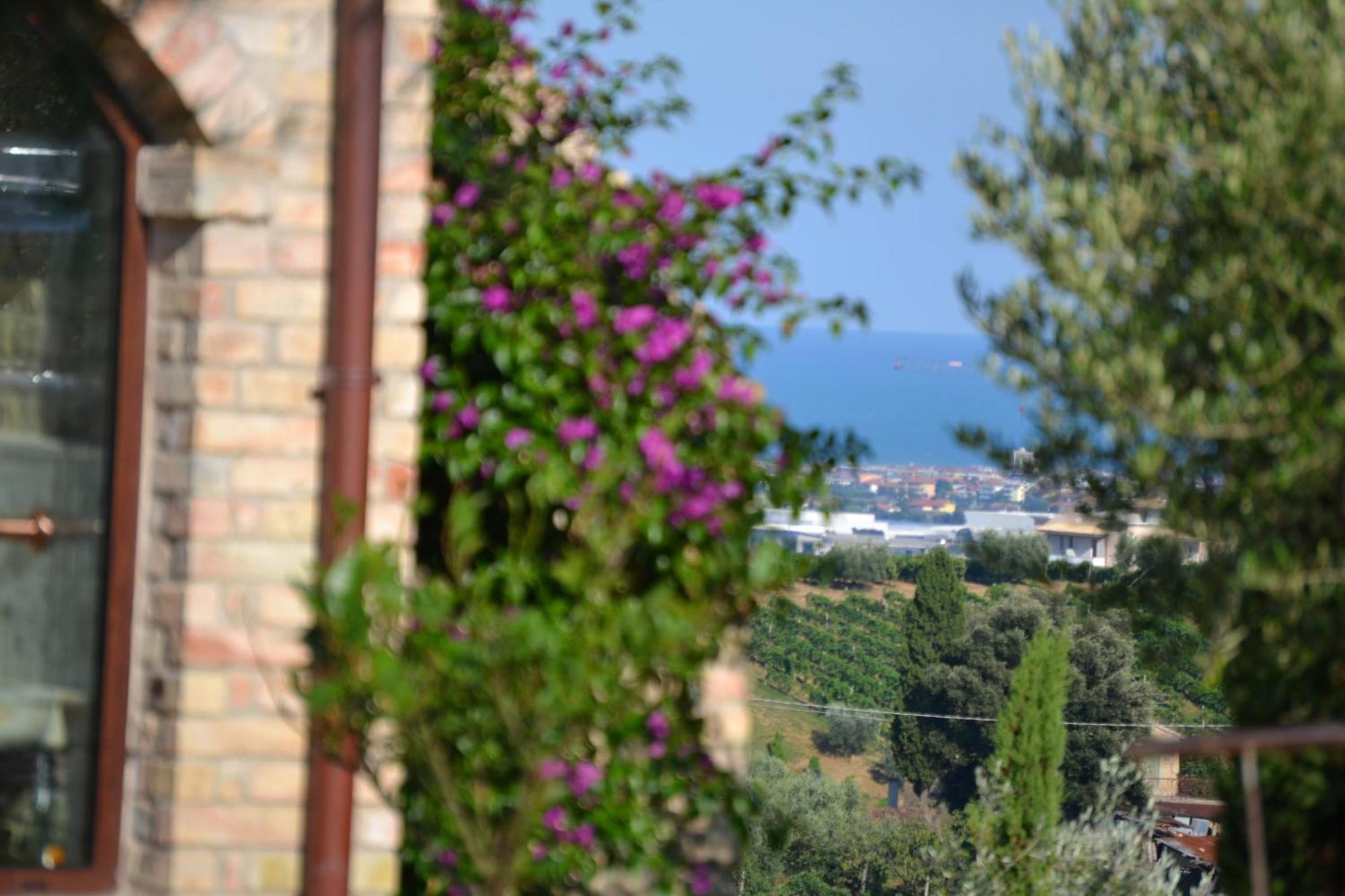 Agriturismo Il Sapore Della Luna Monteprandone Kültér fotó