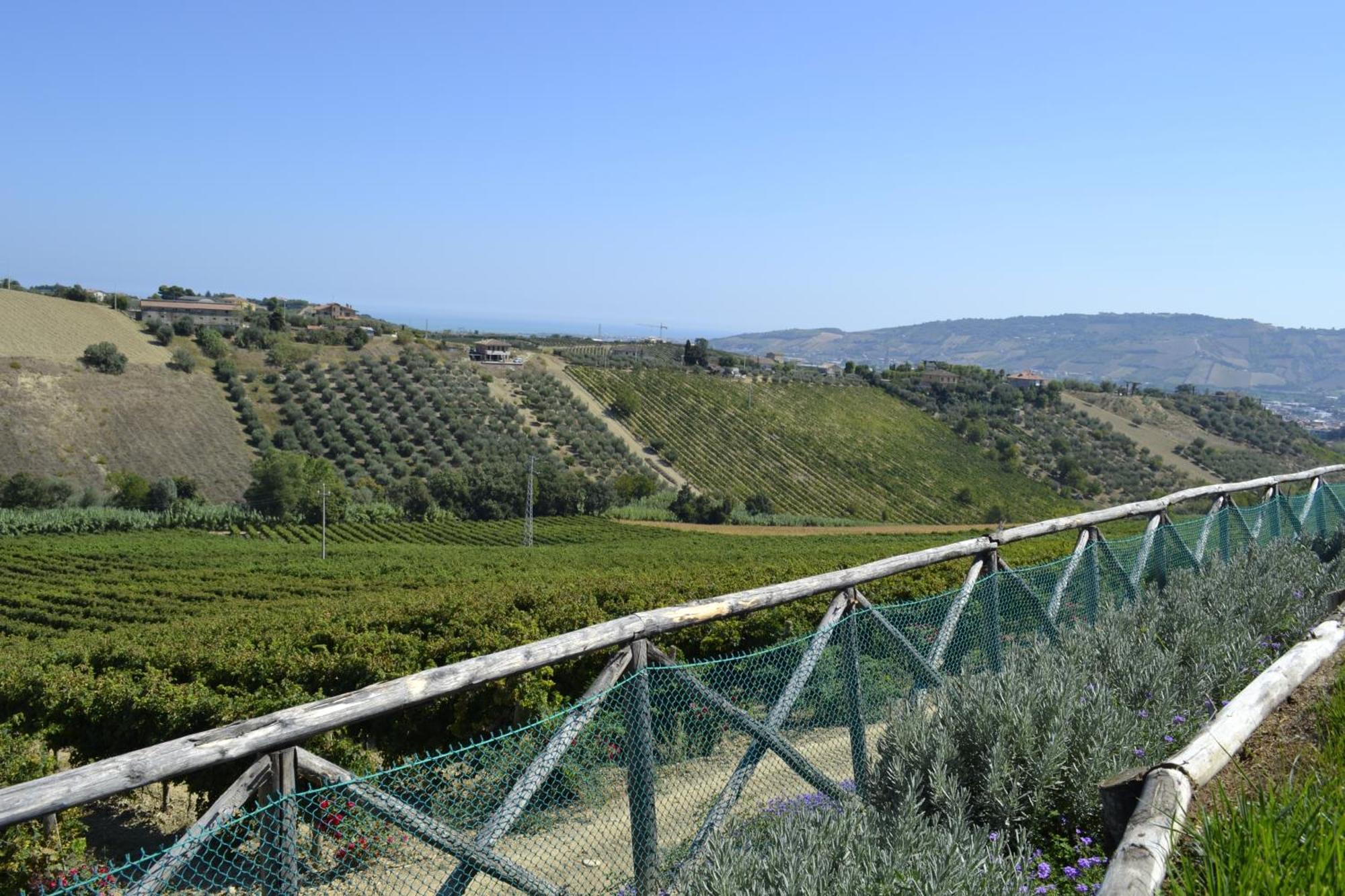 Agriturismo Il Sapore Della Luna Monteprandone Kültér fotó