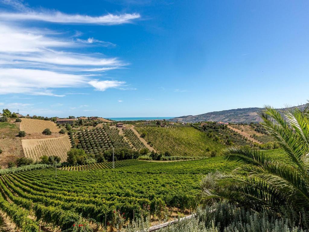 Agriturismo Il Sapore Della Luna Monteprandone Kültér fotó