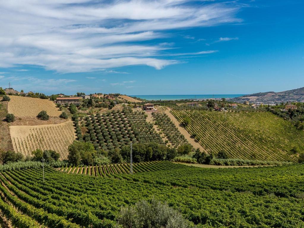 Agriturismo Il Sapore Della Luna Monteprandone Kültér fotó